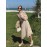 Women's A Line Dress Floral Print Bandage Lantern Sleeve Dress